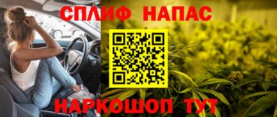 прущие грибы Коммунар