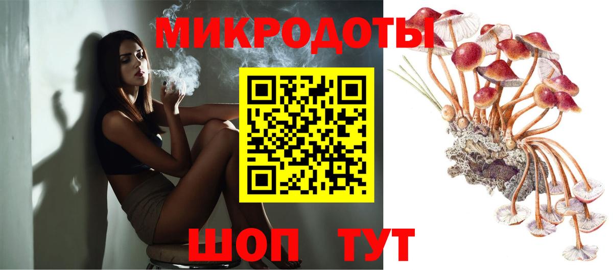 Псилоцибиновые грибы GOLDEN TEACHER Карталы